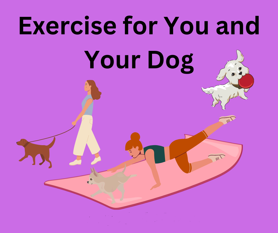 exercise for you and your dog, pets and thier needs
