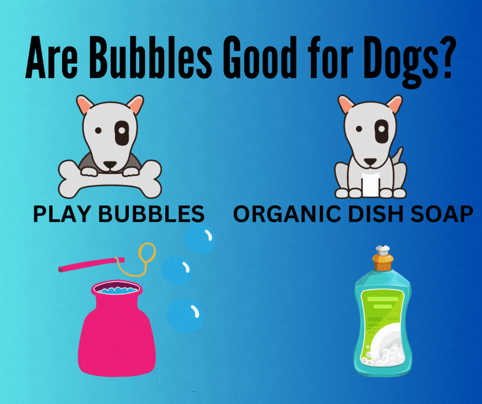 bublecise you and your dog, healthy bubbles for dogs