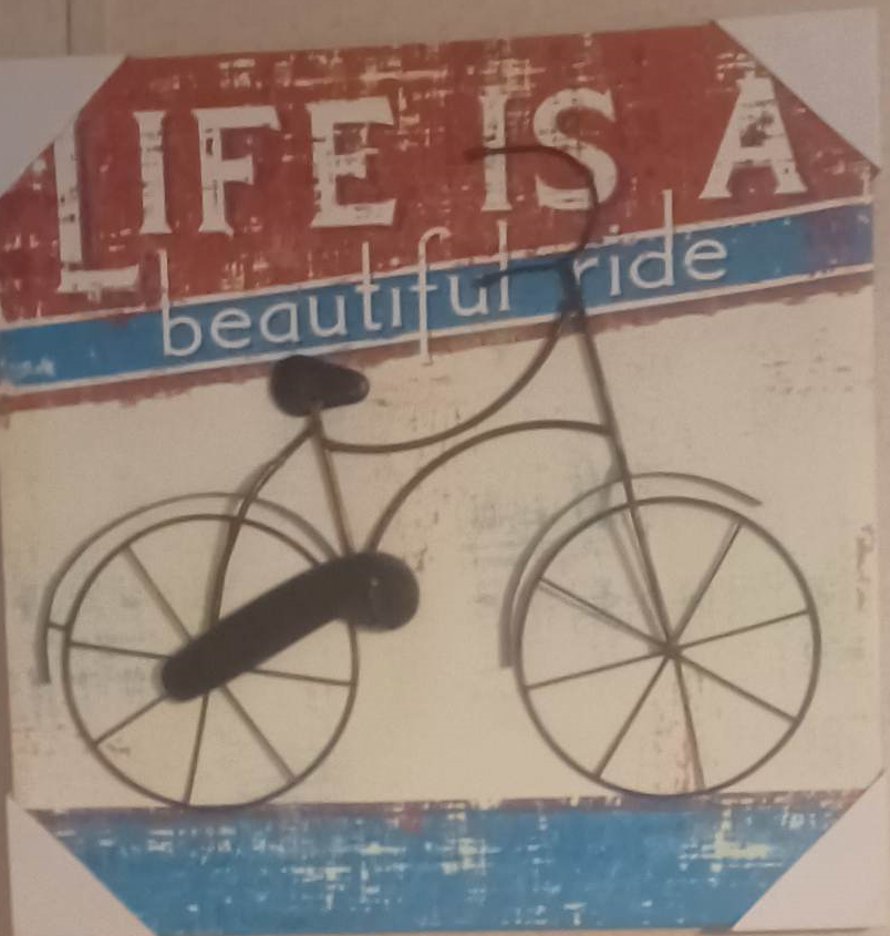 dream bigger, life is a beuatiful bicycle ride