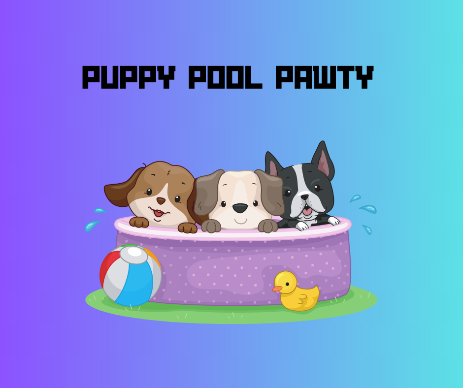 puppy pool pawty, exercise you and your dog