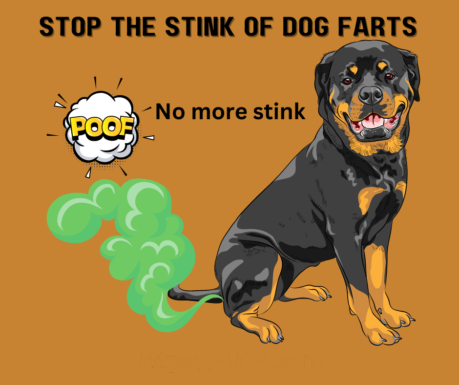 eliminate fart odor, stop the stink of dog farts