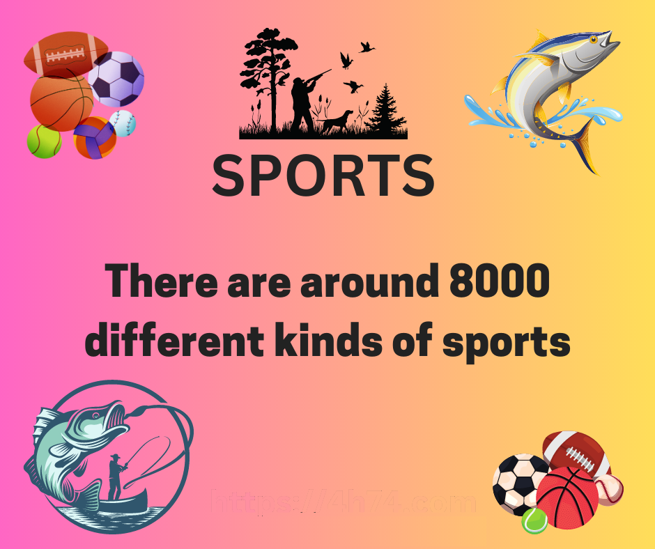 sports includes fishing, fishing, football, community sports membership
