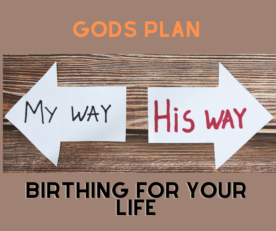 gods plan birthing for your life, the bible, following god
