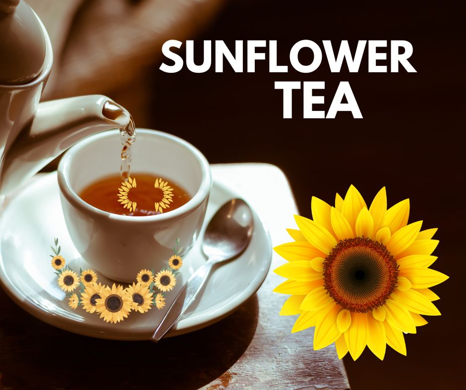 texas sunflowers: maximilian hot teas for sore throat